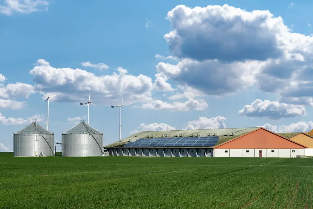 Система Vesa Silos меняет подход к контролю в бизнесе